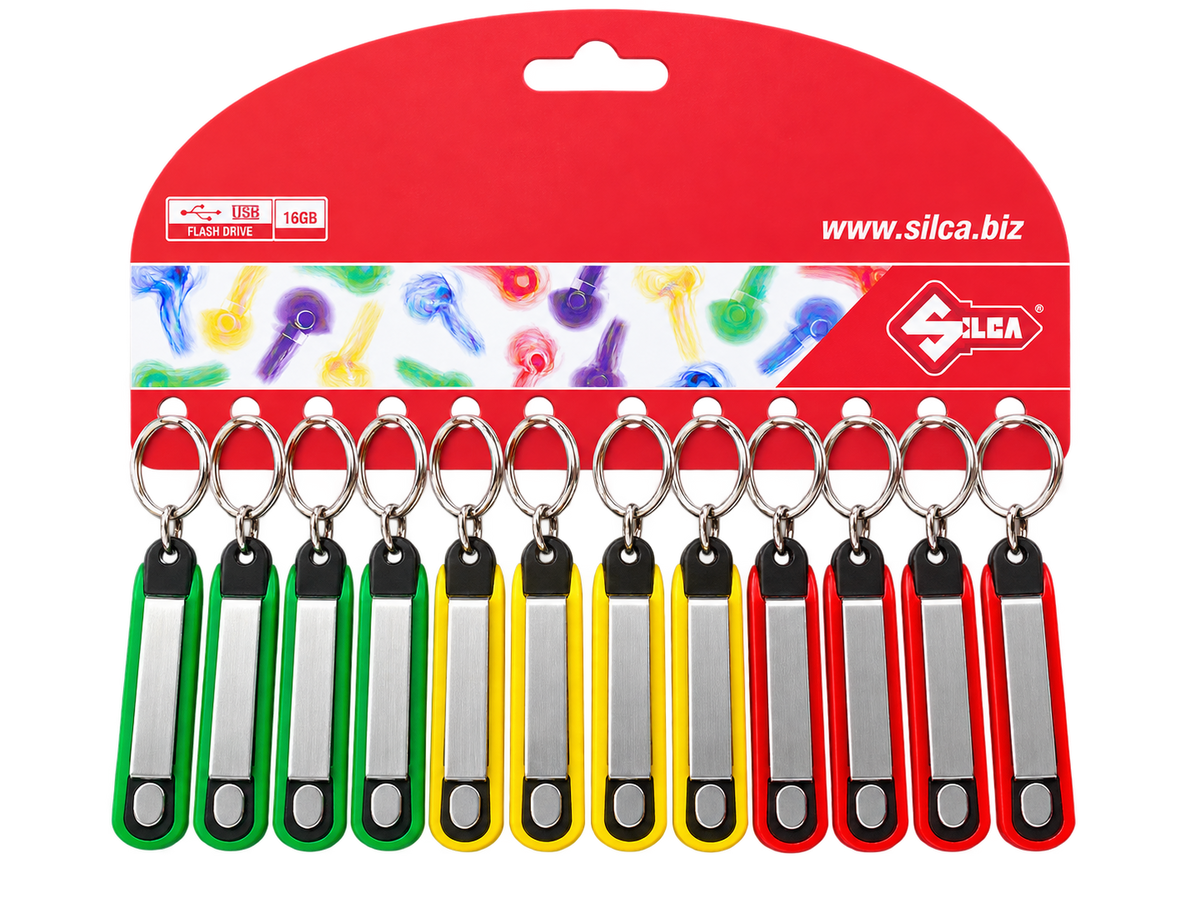 Schlüsselring mit USB-Stick 16 GB – Verschiedene Farben
